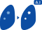 bone-icon1