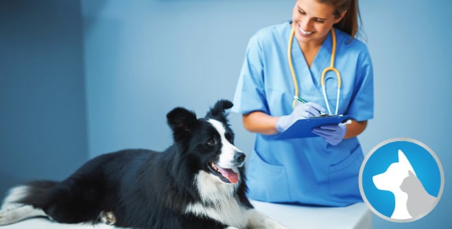 Samsung-Vet-Health-Header