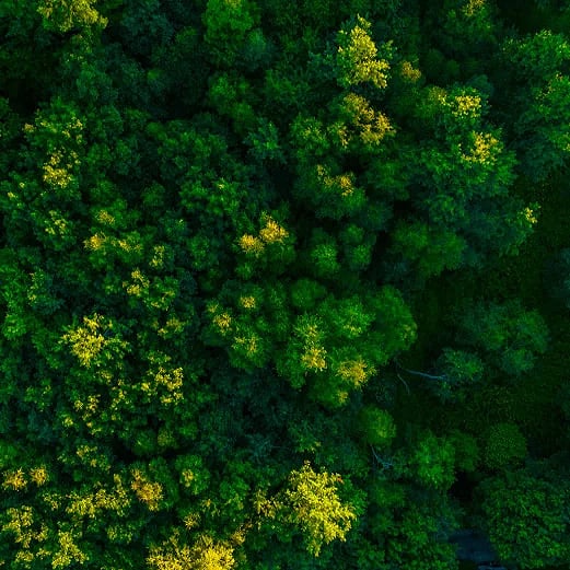 samsung-usa-careers-page-planet