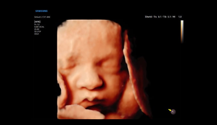 usa-samsung-wh-v5-realisticvue