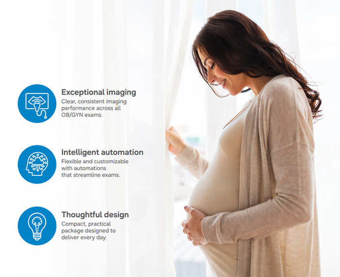 wh-v4-pregnancy-benefits2 wh-v4-pregnancy-benefits2